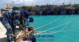 Dây buộc tàu, Dây buộc tàu trong ngành hàng hải, Mua dây buộc tàu