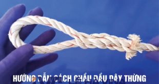 Dây buộc tàu, Buộc dây theo tàu, Hướng dẫn cách chầu đầu dây thừng, Sử dụng nút dây
